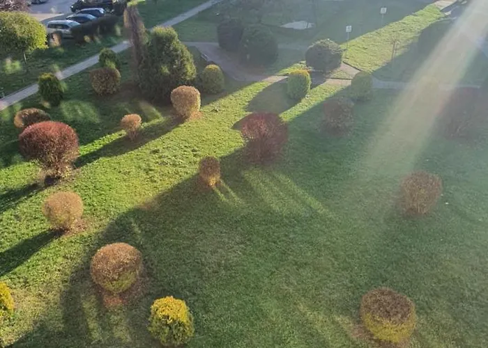 Roanta بولانيكا- زدروي